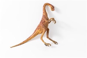 Image description is not available for 1983.49.1